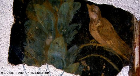 peinture murale gallo-romaine représentant un oiseau et une colonne de branchage